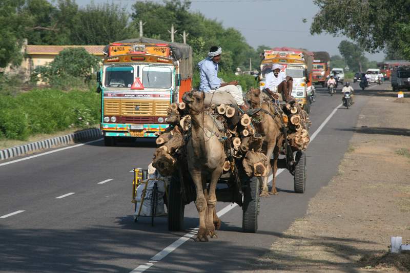 India & Nepal 2011 - 1342